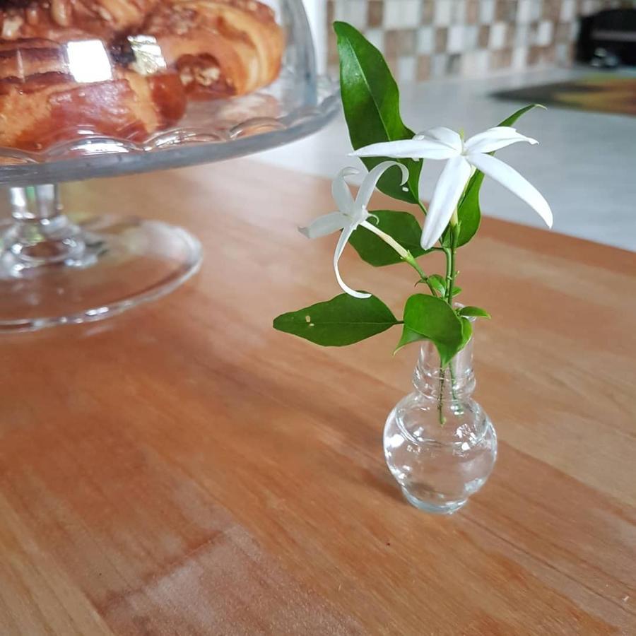 The Jasmine House Villa Preveze Dış mekan fotoğraf