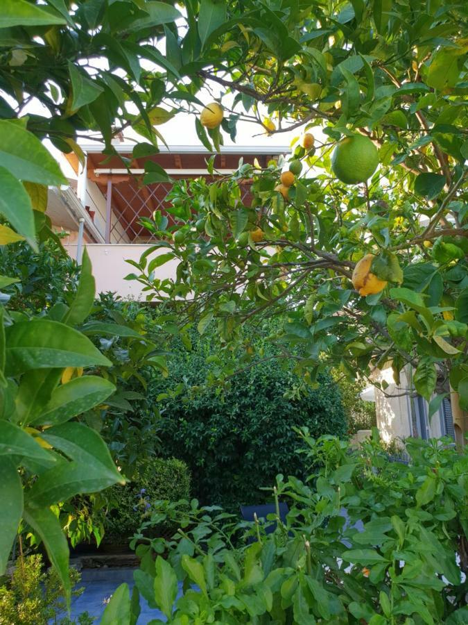 The Jasmine House Villa Preveze Dış mekan fotoğraf